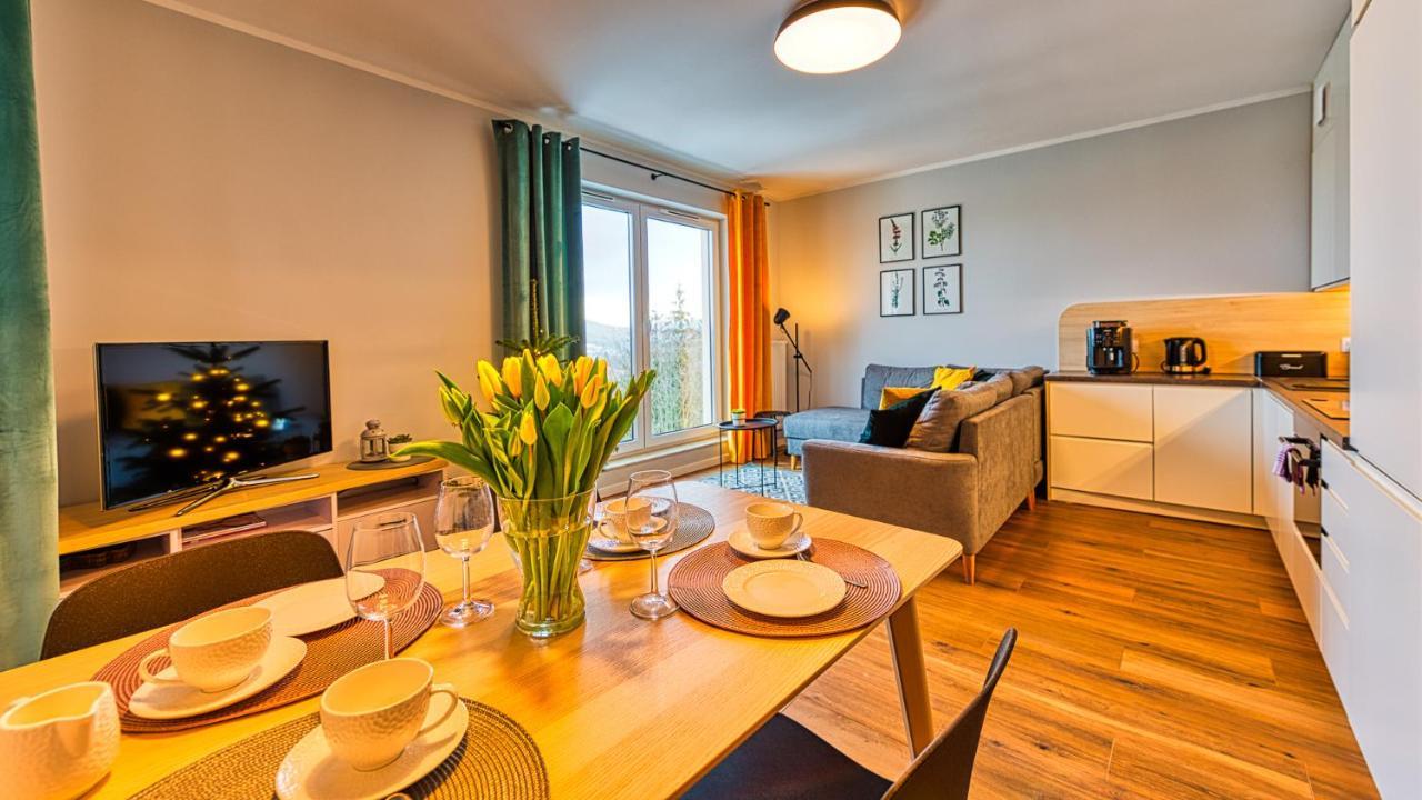 Apartament Pod Stogiem Izerskim - 5D Apartamenty ชเวียราโดว์-สโดรยจ์ ภายนอก รูปภาพ